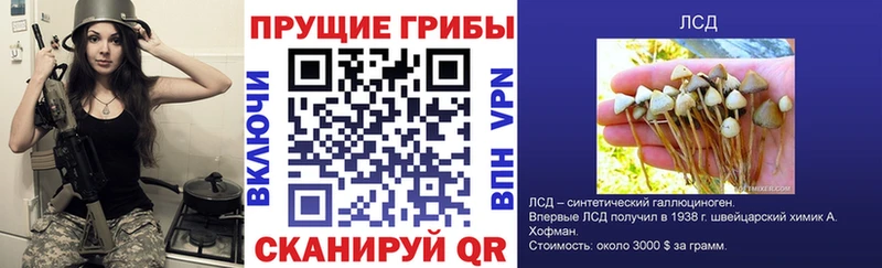 Галлюциногенные грибы GOLDEN TEACHER  Ишим 
